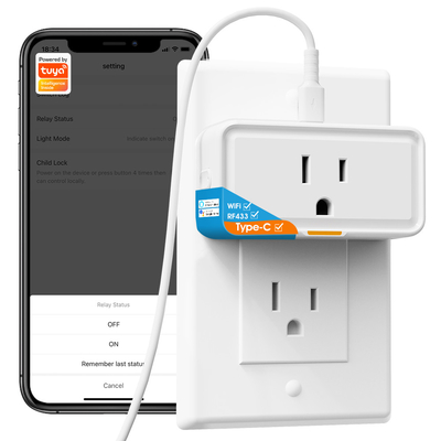 Tuya socket Power Monitor Plug APP Voice Works with Alexa Google Home Smart Type c WiFi RF433 Outlet Plug
