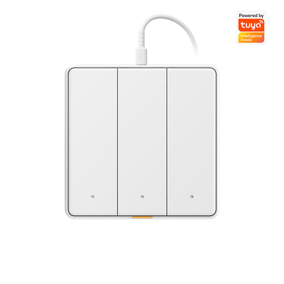Tuya WIFI touch Switch Smart home with Type C Timing Voice App Alexa, Google Home RF433 Smart EU Wall Light Button Switch